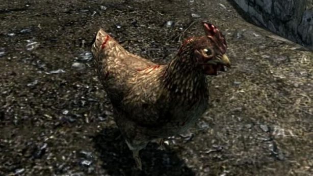 Skyrim Chicken
